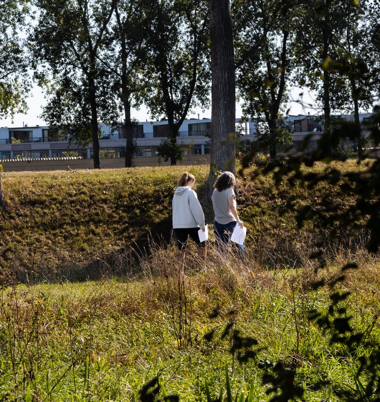 Wat levert de training je op?